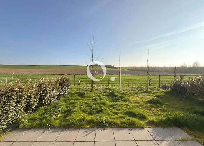 Coc - Idem ويسانت